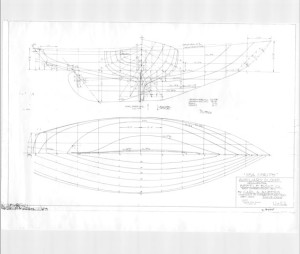 SS23 Line Drawings | SEA SPRITE ASSOCIATION